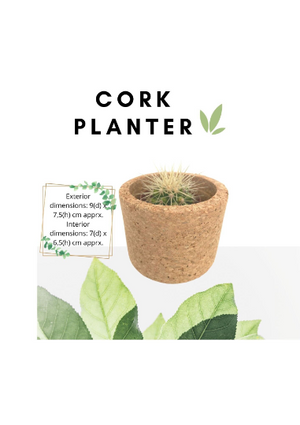 Bring the Outdoors In: The Stylish Cork Planter Collection