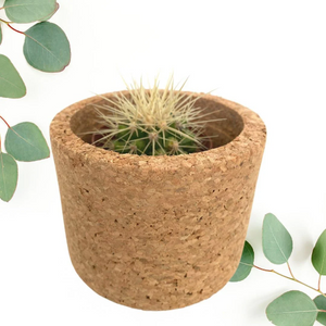 Bring the Outdoors In: The Stylish Cork Planter Collection